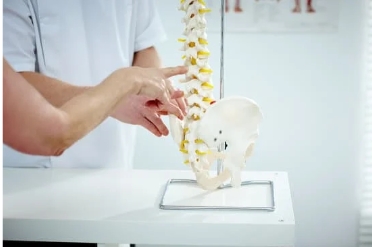 Doctor and patient pointing to sciatic nerve on model spine