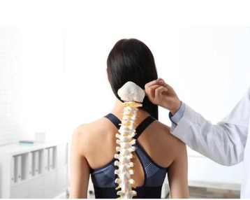 Doctor holding fake spine up to woman's back
